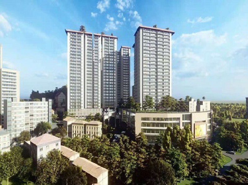 龙川•松林茗苑